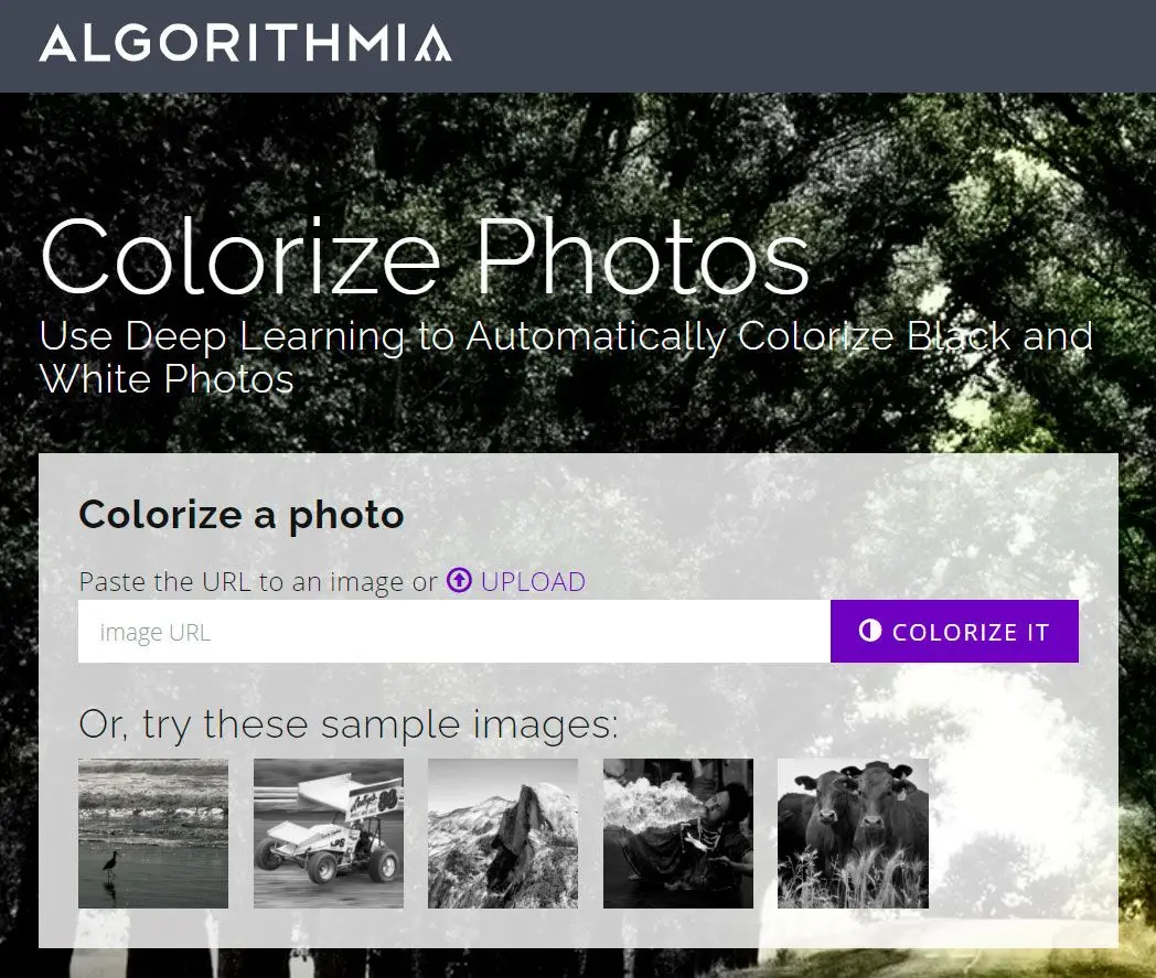 Obarvujte staré fotografie online pomocí algoritmů..
