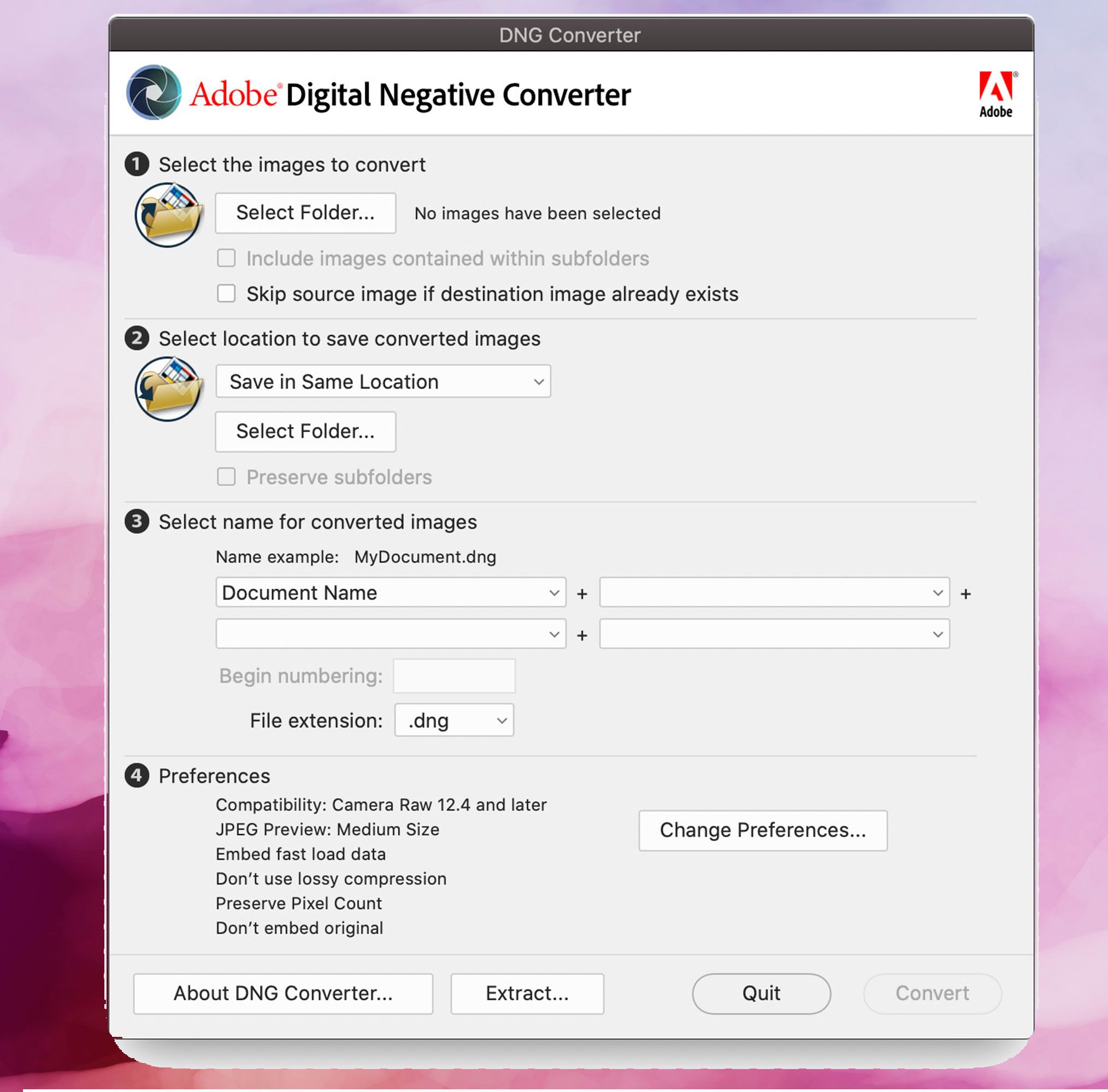 Snímek obrazovky Adobe DNG Converter, Převést obrázky DNG na formát JPEG..