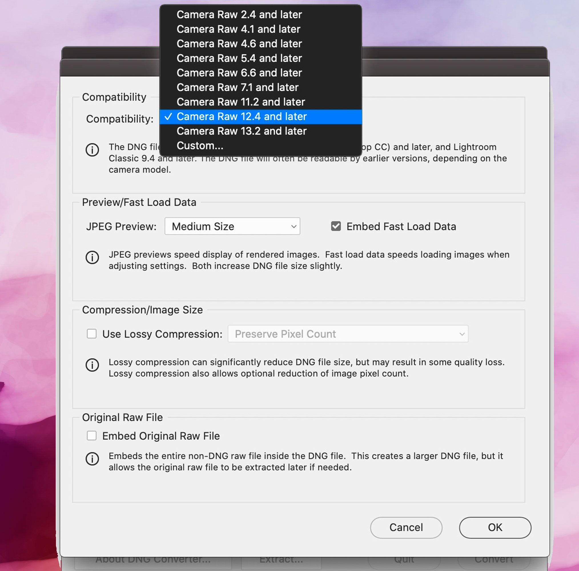 Snímek obrazovky Adobe DNG Converter, Předvolby kompatibility..