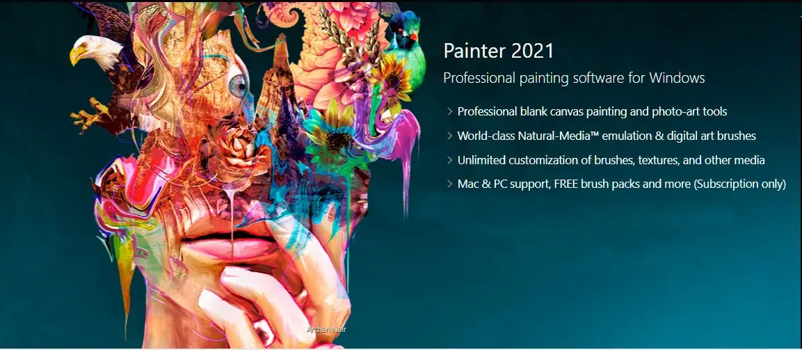 Corel Painter 2021|velký..