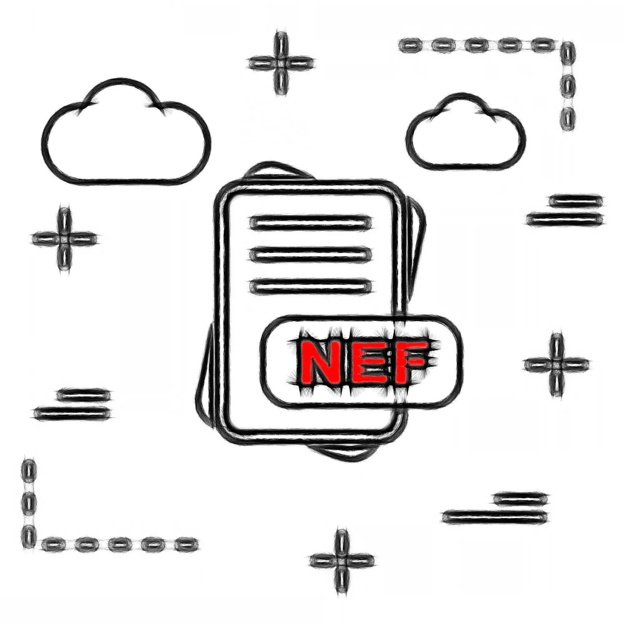 Formát souboru NEF..