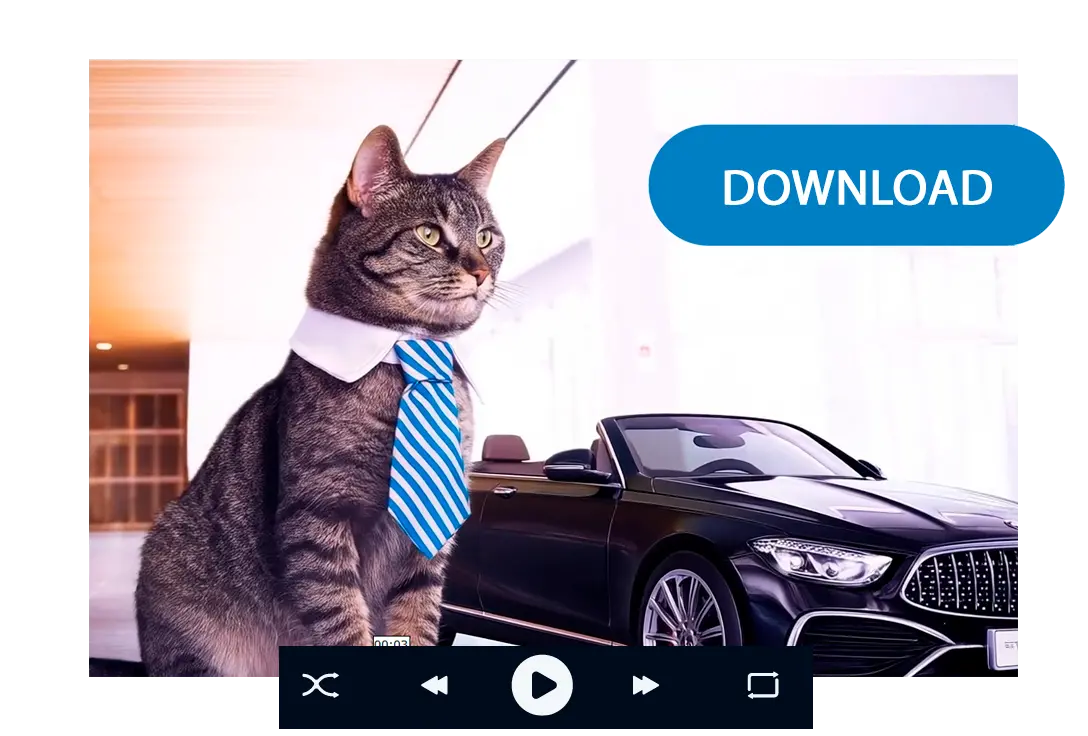 Stáhněte si video.