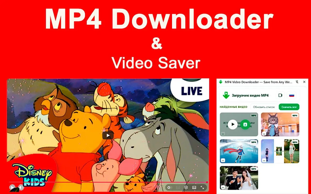 MP4 Downloader a omezení rozšíření Chrome.