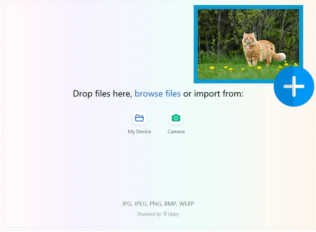 Nahrát referenční obrázek.