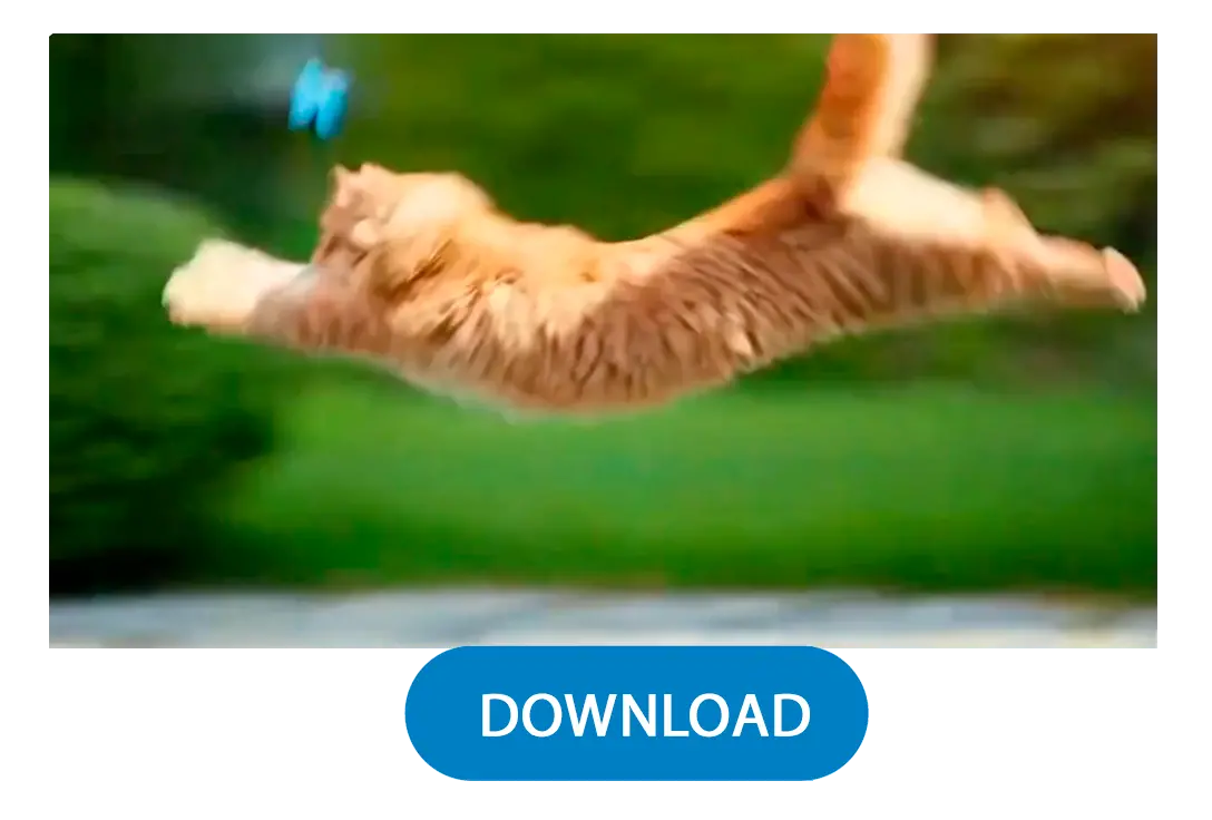 Generování a stahování.