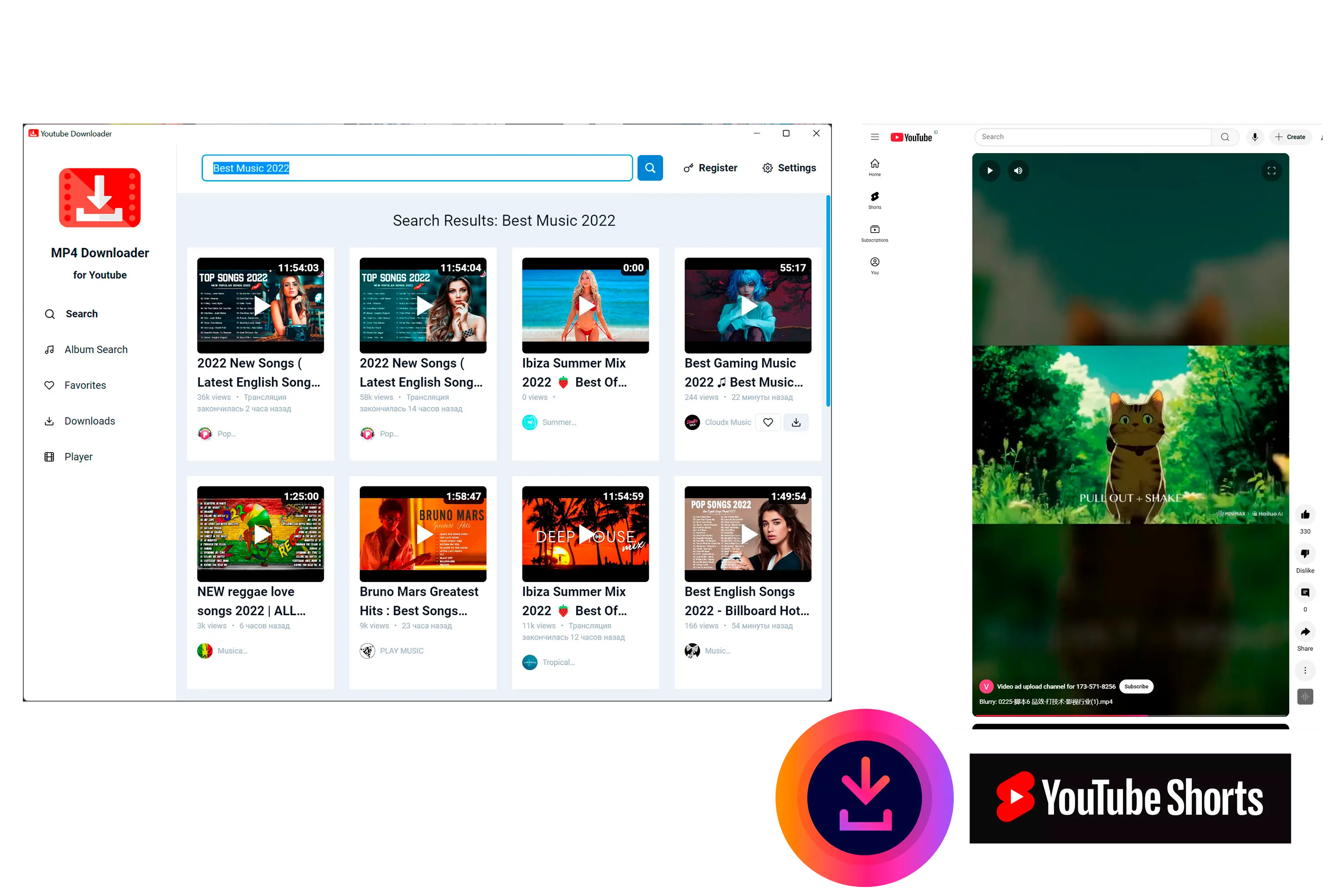 MP4 Downloader for Youtube Snímek obrazovky.