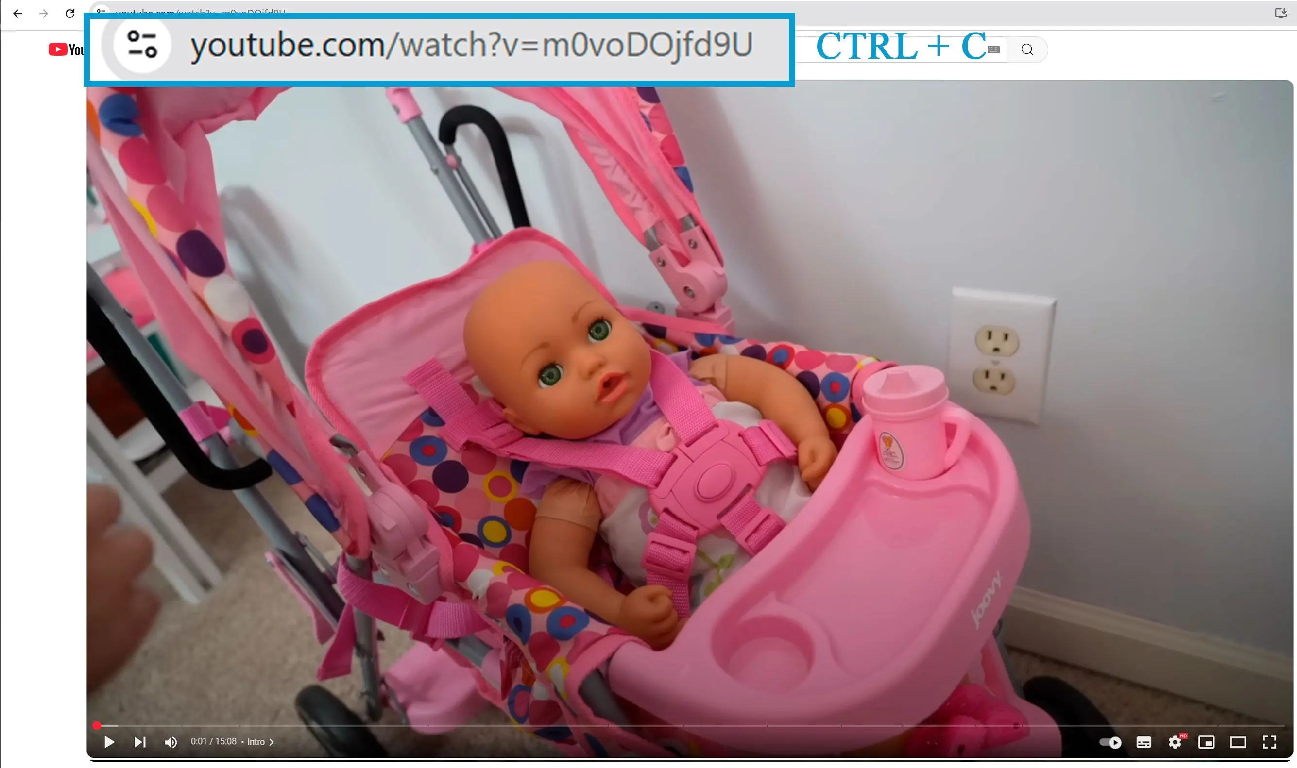 Zkopírujte URL videa YouTube.