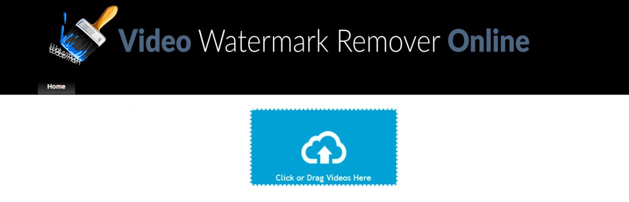 Video Watermark Remover Online..